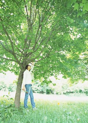 東京の絶景と気軽に楽しむ！屋形船乗合プランで叶える特別な水辺の体験