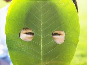 金箔貼り体験をして日本文化を学ぼう