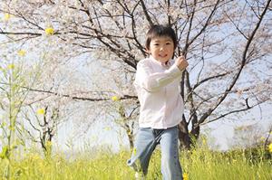 瀬戸内旅行がお得になる四国フェリー