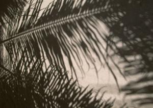 【公式】東横INN栃木足利駅北口｜アクセス抜群のビジネスホテルと充実のサービス内容