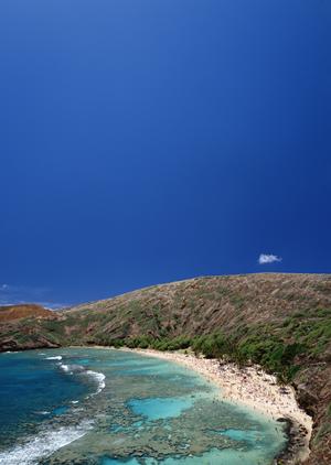 沖縄旅行に最適なビジネスホテル【東横INN那覇旭橋駅前】の魅力と詳細情報