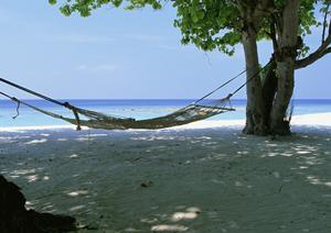 中津駅前に位置する快適なビジネスホテル｜東横INN大分中津駅前の魅力と詳細情報