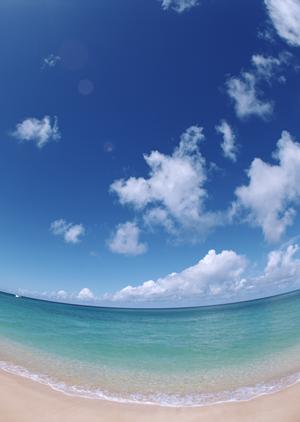 システムメンテナンスのお知らせ：お客様の利便性向上を目指して