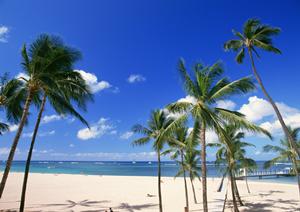 佐賀駅から徒歩1分！東横イン佐賀駅前の魅力と宿泊ガイド